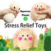 Hedgehog Stress Balls for Adults Squishy Toys (1PCS) Autism Sensory Toys Stress Ball, Fidget Toys for Kids Dough Ball, Party Favors Animal Toys Sensory Balls, Sensory Toys for Autistic Children (Pink)