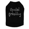 Spoiled Granddog Dog Shirt L Black