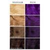 Lunar Tides Semi-Permanent Hair Color (43 colors) (Plum Purple)