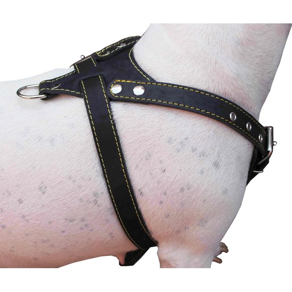Black Genuine Leather Dog Harness, Medium. 25.5"-29" Chest, 1" Wide Adjustable Straps