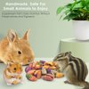 ERKOON Chinchilla Treats, Chew Toys for Teeth for Rabbit Guinea Pig Gerbil Rat Dwarf Hamster(Small Size)