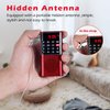 PRUNUS J-328 Mini Portable Pocket FM Radio MP3 Walkman Radio with Recorder, Lock Key, SD Card Player, Rechargeable Battery Operated(NO AM) Red