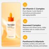 Torriden CELLMAZING Vita C Ampoule 1.01 fl. Oz | Mildly Minimizing Sagging Pores and Refining Skin Texture using 5D Vitamin C, a Seaweed Complex, and Panthenol | Korean Skin Care