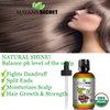 Mayan's Secret Jojoba Oil USDA Certified Organic (4oz Large) | Natural Cold Pressed Unrefined Hexane Free Oil for Hair & Face | Carrier Oil