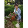 Rain Bird SW10/10PS Drip Irrigation Spot Watering Dripper/Emitter, 1 Gallon Per Hour, 10-Pack