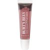 Burts Lip Shine Blush 0.5 Ounce - (Value Pack of 5)