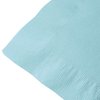 Creative Converting Party Decorations 2-Ply Luncheon Napkins, Party Supplies, One Size, Pastel Blue, 50ct