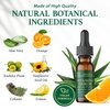 Natural Elements Botanicals Vitamin C Serum | Super C Serum, Face Serum for Dark Spots, Fine Lines, Wrinkles & Dark Circle Remover | Vitamin E, & Hyaluronic Acid | Boost Collagen