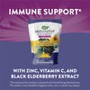 Nature's Way Sambucus Zinc Lozenges with Elderberry and Vitamin C, Honey Lemon Flavor, 24 Lozenges