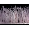 6 Inch Strip - Baby Pink Ostrich Fringe Trim Feather Craft Sample DIY Millinery Supply | Moonlight Feather