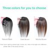 Bangs Hair Clip, Clip in Bangs Hair Toppers for Women 100% Real Human Hair, Clip on Bangs 360° 3D Cover Wispy Fake Clip in Hair Extensions for Women Daily (Natural Black, 3D 5 * 7 French Bangs)