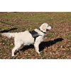 DT Universal No Pull Dog Harness, No Petting Please, Black, Medium, Fits Girth Size: 26-Inch to 32-Inch