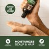 NEW Dr. Squatch Natural Body Wash and Hair Kit for Men Gift Set - Pine Tar - Exfoliating Body Wash (14 oz, 2 Pack) + Shampoo (8 oz) + Conditioner (11.5 oz)