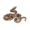 Fantarea Simulation Realistic Wild Life Python Snake Jungle Animal Action Figures Model Figurine Desktop Decoration Collection Party Supplies Cognitive Toys for Boys Girls Kid Toddlers