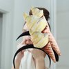Beavorty Ice Cream Cone Headband, Unisex Adult Food Ice Cream Cone Mini Hat on Headband Food Dress Up Ice Cream Headpiece for Costume Party Supplies Food Party Decoration