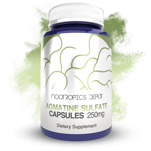 Nootropics Depot Agmatine Sulfate Capsules | 250mg | 240 Count | Energy Supplement | Amino Acid Derivative | Supports Physical Strength and Workout Recovery | Nitric Oxide Booster
