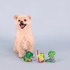 Fringe Studio Plush Dog Toy Set, Rawr-Ing Summer, Small 3 Piece Set, Pet Shop Collection (662089)