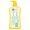 Dettol Fresh Body Wash and Shower Gel, Fresh Yuzu Citrus Scent Body Wash, 16.90 Fl Oz (Pack of 1)