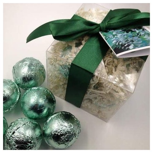 EUCALYPTUS & SPEARMINT GIFT SET with 6 Bath Bomb Fizzies with Shea, Mango & Cocoa Butter, Ultra Moisturizing (14 Oz) Great for Dry Skin, All Skin Types (Eucalyptus & Spearmint)