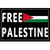 10 Pack Free Palestine Gaza Flag Arabic Freedom for Palestinians Stand with Israel Flag Support Israel Stickers Laptop Bumper Decal Window Waterproof Car Stickers