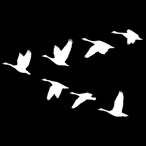 Express Yourself Products Honkers Headed South Wall Decal (White - Reverse Facing - Small) - Waterfowl Collection