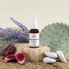 Sia Botanics Prickly Pear Daily Facial Moisturizer - SPF 30 (59ml/2oz Pump Bottle) | Face Sunscreen w/Prickly Pear, Sweet Orange, Lavender | Natural, Clean, Botanical Skincare for Women