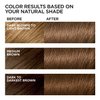 L'Oreal Paris Feria Multi-Faceted Shimmering Permanent Hair Color, 58 Bronze Shimmer, Pack of 2, Hair Dye