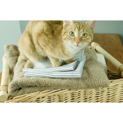 Purecosheet - Reusable Dryer Sheets | Cost effective (500+ loads), Chemical Free & Vegan Dryer Sheet | Safe For Infants & Allergy/Eczema Sufferers | Hypoallergenic | 2 Count