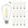 winsaLED Dimmable LED Edison Bulbs 40 Watts Equivalent, 4 Watt LED Filament Bulb, 5000K Daylight ST19 Light Bulb, 450LM E26 Vintage LED Bulbs for Light Fixtures 12 Pack