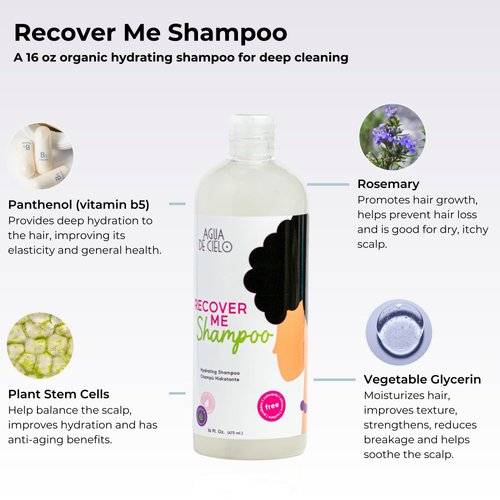 Agua de Cielo Recover Me Shampoo - Organic Shampoo for Dry & Damaged Hair, Sulfate-Free, Paraben-Free, Improves Scalp Health, Hair Softness, & Shine - 16 oz