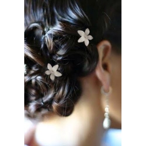 White Flower Hair Pins Twister Coil (Set of 8)