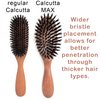 100% Pure Calcutta Wild Boar Bristle Hair Brush, Calcutta Max for Thick or Long Hair, Gentle, Extra Stiff Natural Bristles, Dark Maple Wood Handle, Made in Europe