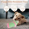2Pcs Dog Squeaky Toys Durable Dog Plush Toys Stuffed Socks Dog Chewing Toys Bite- Resistant Cat Interactive Toys for Pet Birthday