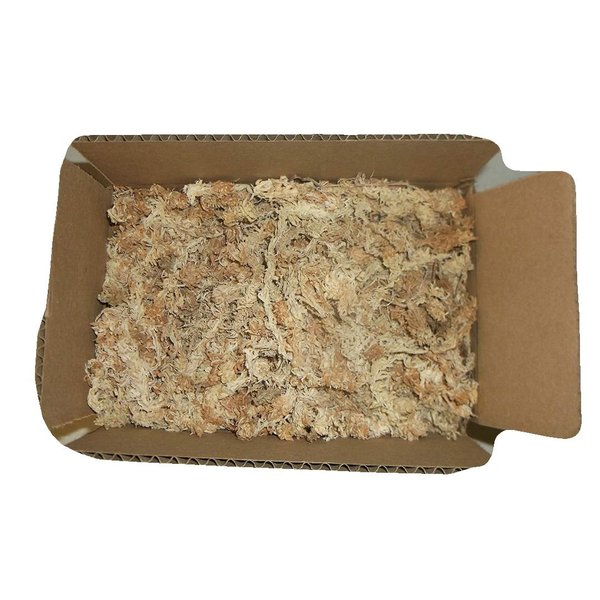 4.5 Ounces of New Zealand Sphagnum Moss