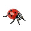 Insect Lore Live Baby Ladybug Larvae - Ladybug Growing Kit REFILL with Ladybug Life Cycle Toy Figurines - SHIP NOW