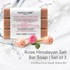 Olivia Care Exfoliating Bar Soap With Rose Himalayan Salt Natural & Organic - Infused w/Oatmeal & Rose Essential Geranium Oil - Moisturize, Detoxify, Hydrate - 3 X 5 OZ
