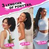 QGZ Ponytail Extension,Drawstring Ponytail for Black Women 14 Inch Synthetic Short Wavy Curly Layered Pony Tails Hair Extensions for Daily Use(Black)