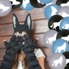 30 Pcs Wolf Balloons Wolf Birthday Party Decoration Balloons 12 Inches Latex Balloons for Baby Shower Birthday Party Animal Party Decor Supplies