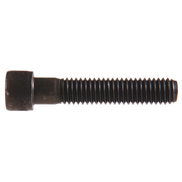The Hillman Group 43518 5/16-24-Inch x 3-Inch Socket Head Cap Screw, 8-Pack