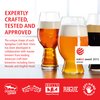 Spiegelau Beer Classics Tulip Glasses, Set of 4, European-Made Lead-Free Crystal, Modern Beer Glasses, Dishwasher Safe, Professional Quality Beer Tulip Glass Gift Set, 15.5 oz