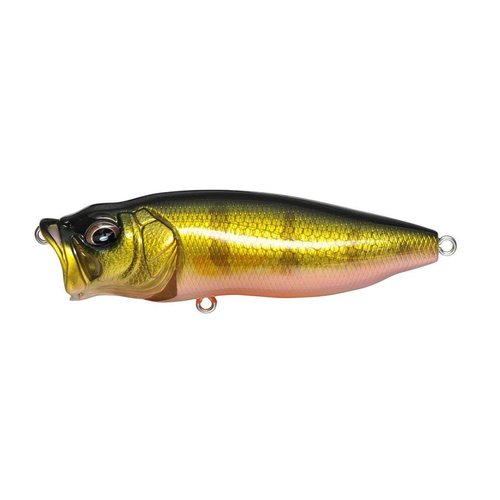 Megabass PopMax Topwater Fishing Lure - Perch