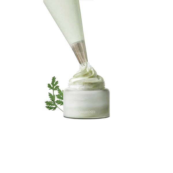 WHIPPED CREAM VEGAN CLEANSER MUGTREE - Mugwort & Tea Tree | For Oily Acne-Prone skin, Moisturizing Face Cleanser, Sebum & Pore Care, Niacinamide, Hyaluronic Acid | Korean Skincare, 120ML (4.05 fl. oz)
