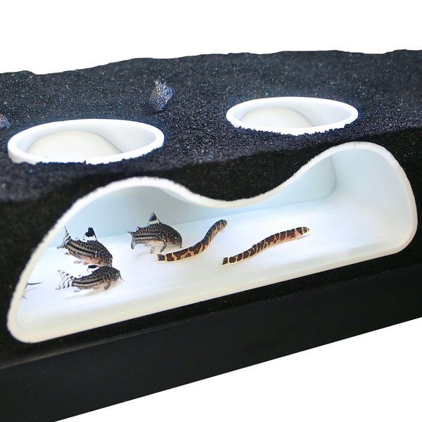 Aquarium Underground Tunnel Cave Natural Curve Two Hole | Viewing Fish & Shrimp Under Gravel Tunnel | Fish Tank Decor Decoration Hideout Perfect for Corydora Catfish, Kuhli Loach, Pleco (White)