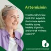 BESTVITE Artemisinin 200mg (120 Vegetarian Capsules) (2-Pack) - No Stearates - No Flow Agents - Vegan - Gluten Free - Non GMO
