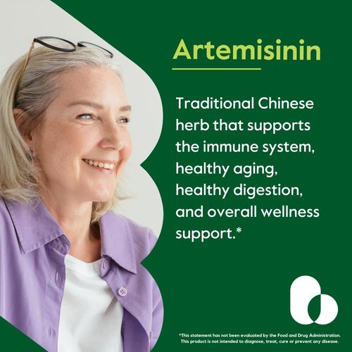 BESTVITE Artemisinin 200mg (120 Vegetarian Capsules) (2-Pack) - No Stearates - No Flow Agents - Vegan - Gluten Free - Non GMO