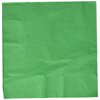 Festive Green 3-Ply Dinner Napkins | Pack of 20| Party Supply