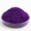 OODTAKE Purple Iron Oxide, Concrete Pigments for Artistic and Decorative Painting, Cement Dye for Concrete, Clay, Lime, Tile, Mortar, Grout, Plaster, Masonry, Paint (Purple, 4 oz)