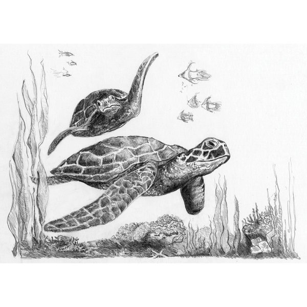 Sketching Made Easy Kit 5inX7in-Sea Turtles