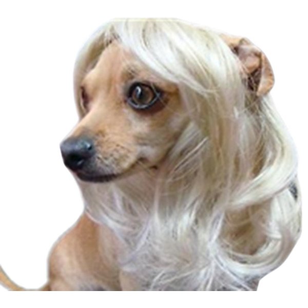 Tanya Pet Supplies -Dog Costumes Blonde Wavy Syethetic Hair Pet Dog Cat Wigs-Gift