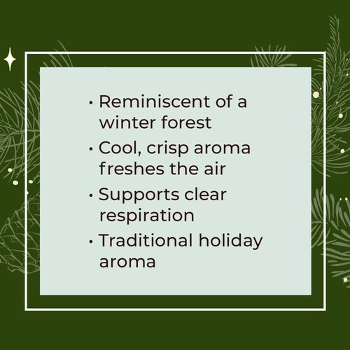 Plant Therapy Christmas Tree Holiday Essential Oil Blend 100% Pure, Undiluted, Natural, Therapeutic Grade 10 mL (1/3 oz)